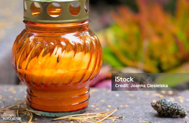 Honey Magic: The All-Natural Elixir for Health, Beauty, and Wellness