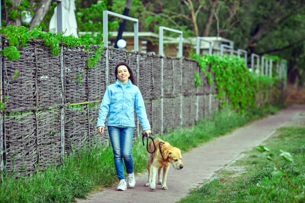 Dog Fence