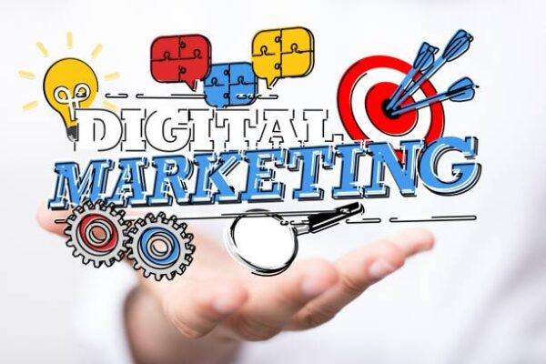 The Evolution of Digital Marketing: A Case Study of WizzyDigital Org